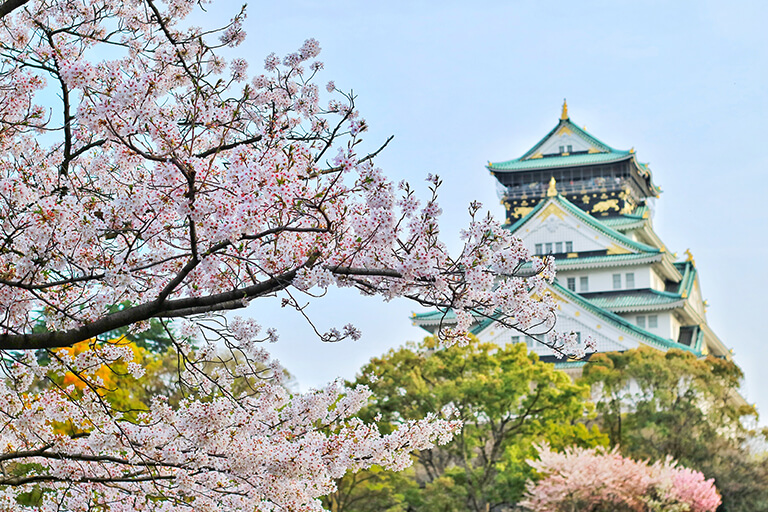 A Chinese structure with a pink cherry blossom tree blooming.